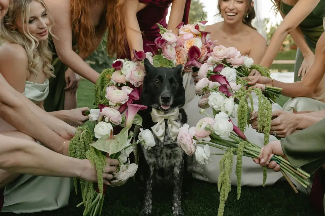 Alyssa & DJ wedding photo 6