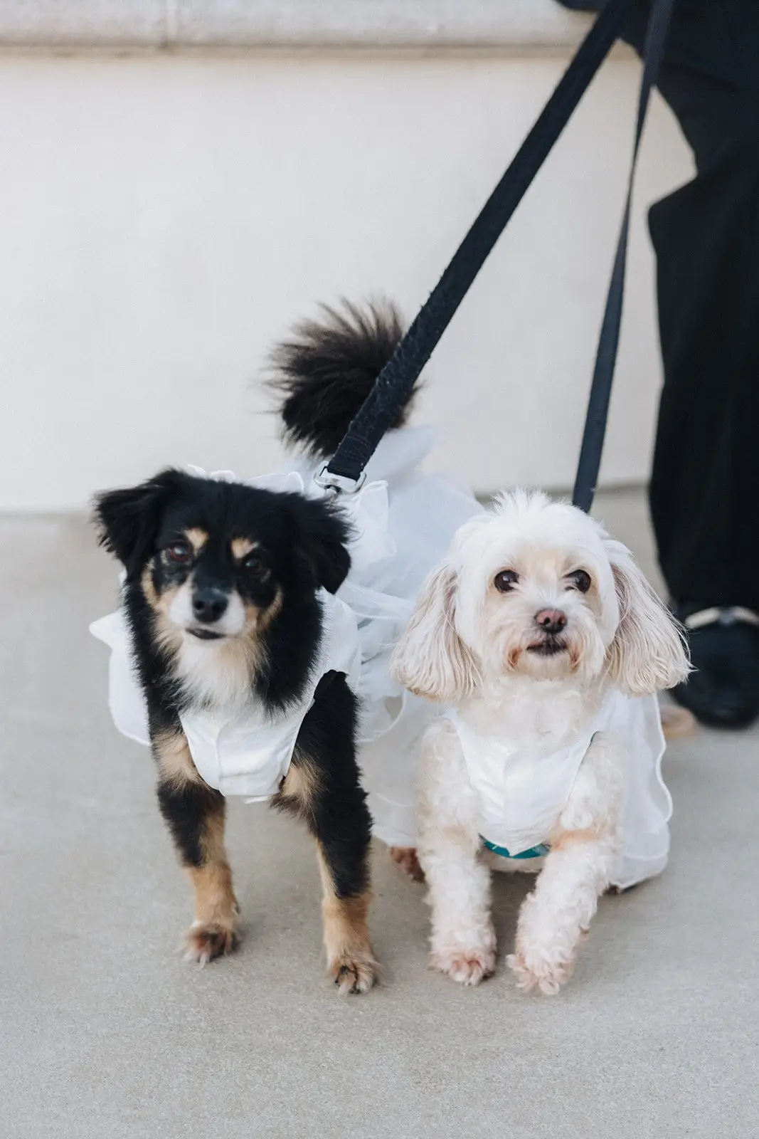 Kristina & Son wedding photo 9